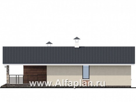 Проекты домов Альфаплан - «Родия» - одноэтажный коттедж с двускатной кровлей - превью фасада №2