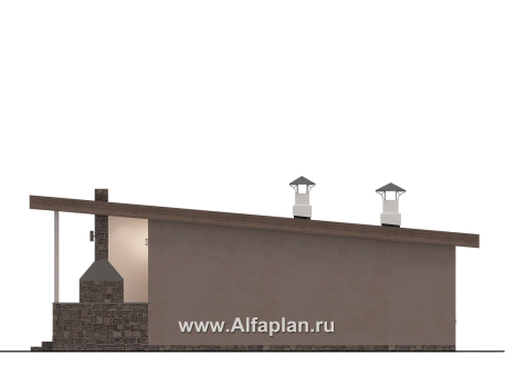 Проекты домов Альфаплан - "Талисман" - проект одноэтажного дома с односкатной кровлей - превью фасада №2